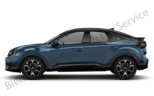 Aksaray Citroen Servisi