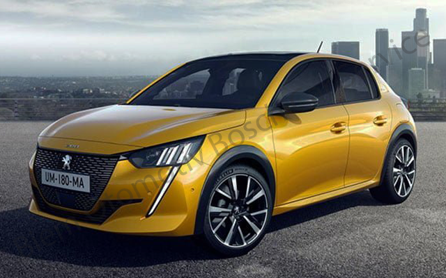 Peugeot Araçlara Özel Servis Desteği