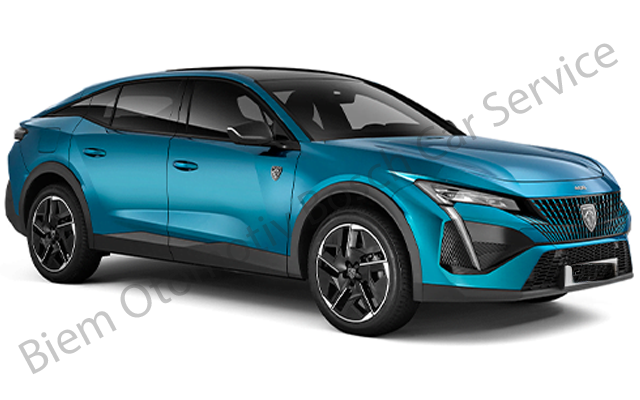 Aksaray Peugeot Servisi
